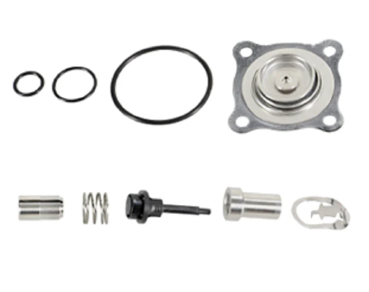 ASCO 208-752 Rebuild Kit