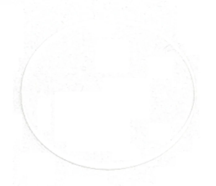 Fireye 92-48 Quartz Window
