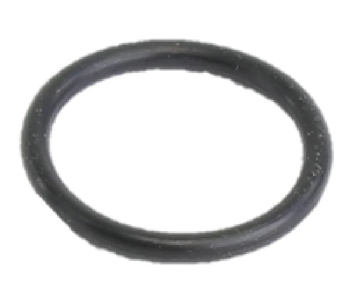Laars Heating Systems V2017500 O-Ring