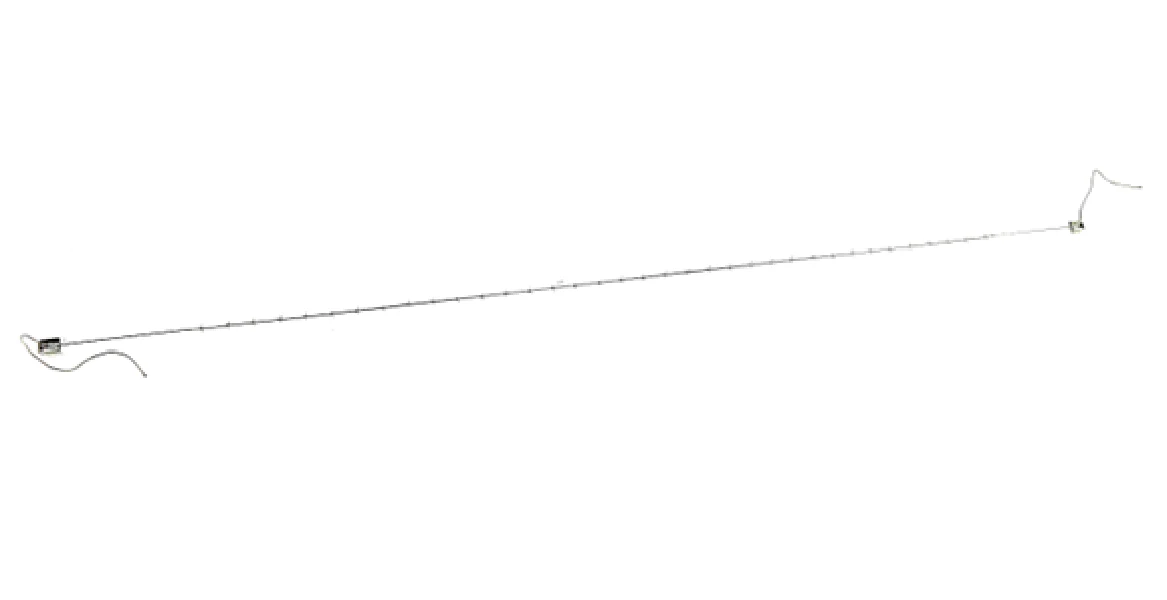Liebert 151187P2S Lamp