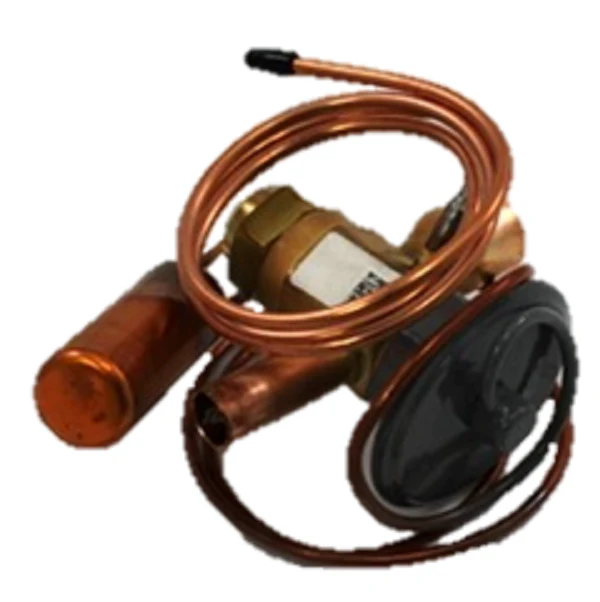 Liebert 156108P1S TXV