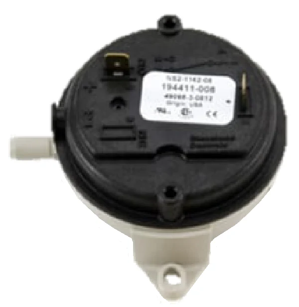 Lochinvar & A.O. Smith 100109522 Switch