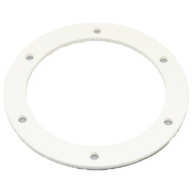 Lochinvar & A.O. Smith 100187869 Gasket