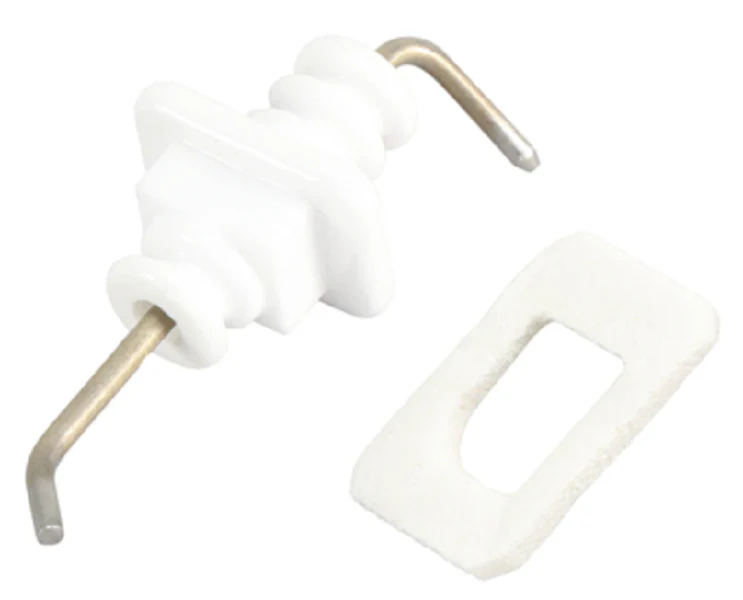 Rheem-Ruud RTG20212BD Electrode IG