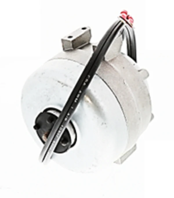 Tecumseh 810M009A79 Motor