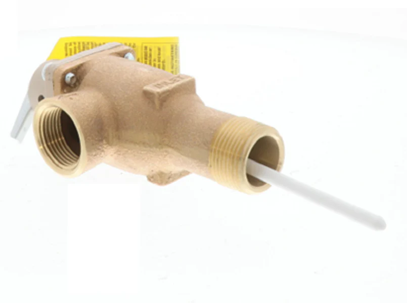 Watts 0163746 Valve