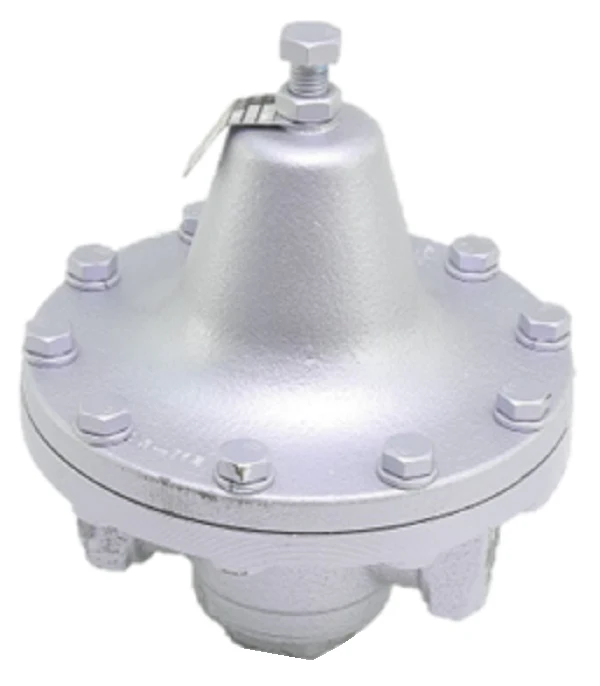 Watts 0830946 Regulator