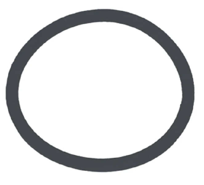 Watts 0899112 Gasket